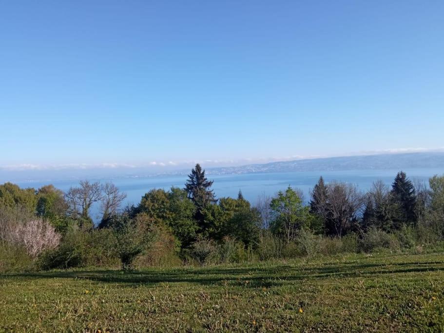 Lugrin Proche Du Lac Et Montagne Exterior foto